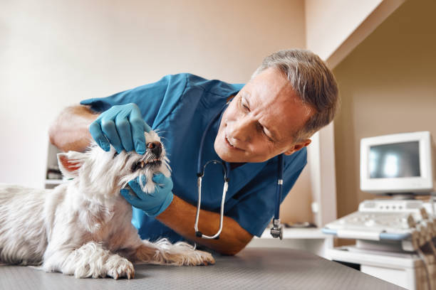 Best Broken Tooth Emergency  in Lordstown, OH