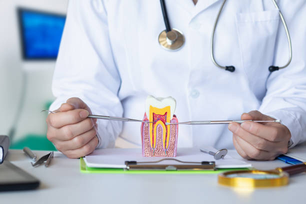 Best Root Canal Emergency Dentist  in Lordstown, OH